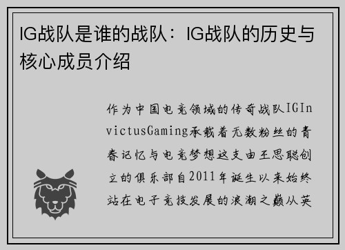 IG战队是谁的战队：IG战队的历史与核心成员介绍